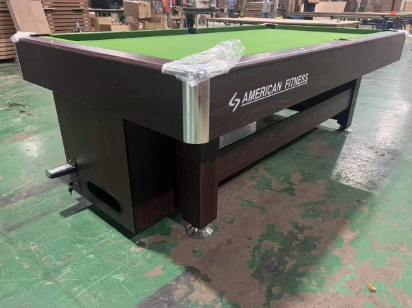 2pcs Snooker Sticks