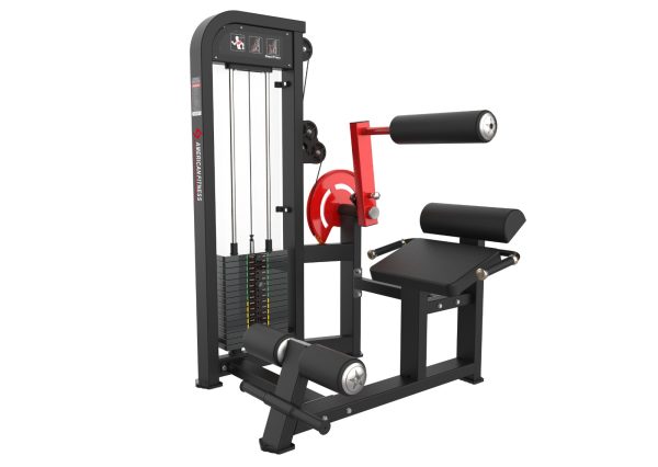 American Fitness Dual-Function  Seated Abdominal Crunch and Back Extension Machine  VN-152