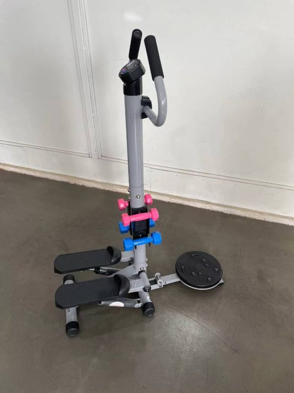Standing stepper with dumbbells and twister